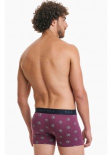 Men's Boxer WALK Bamboo W1770-70 BORNTO Men's Boxer WALK Bamboo W1770-70 BORNTO