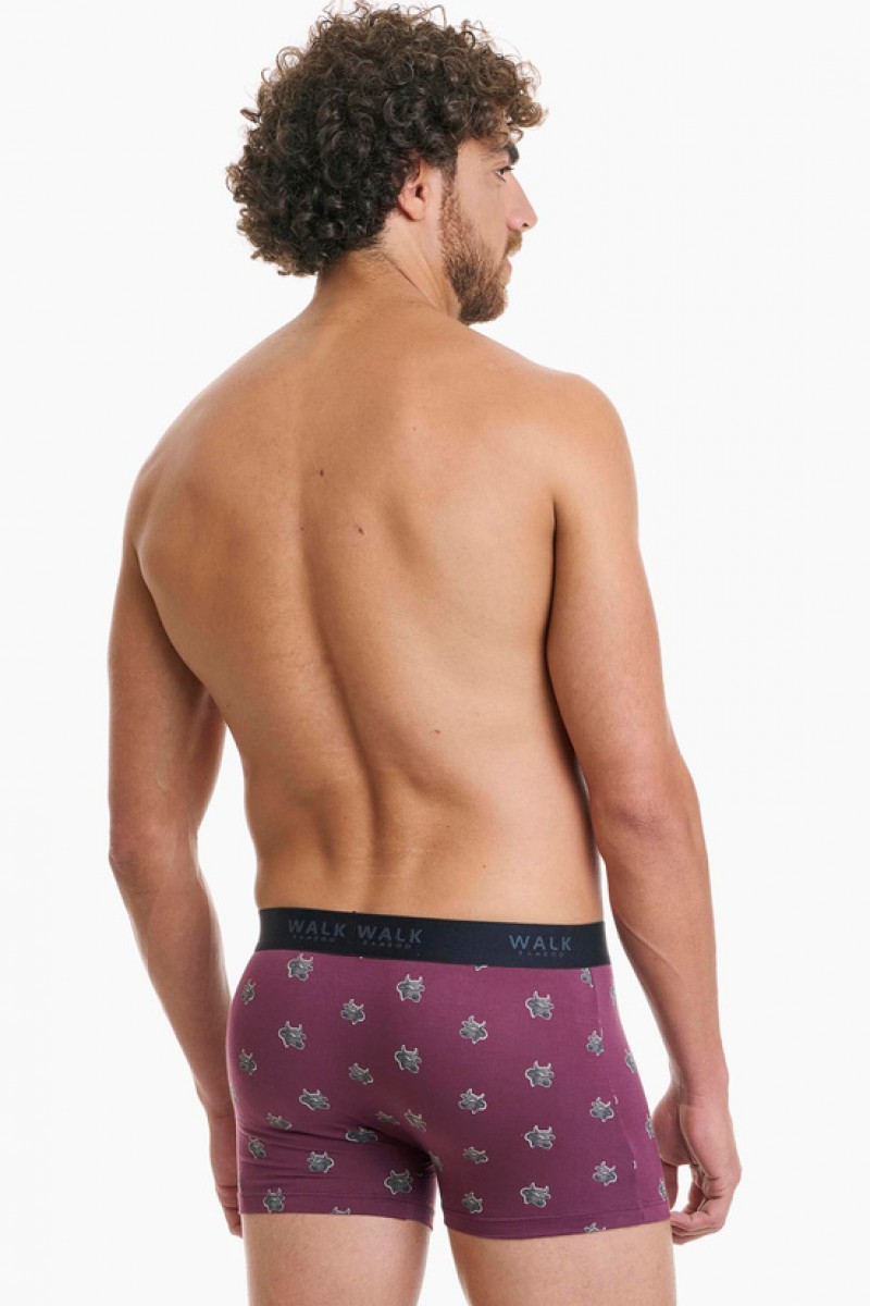 Men's Boxer WALK Bamboo W1770-70 BORNTO