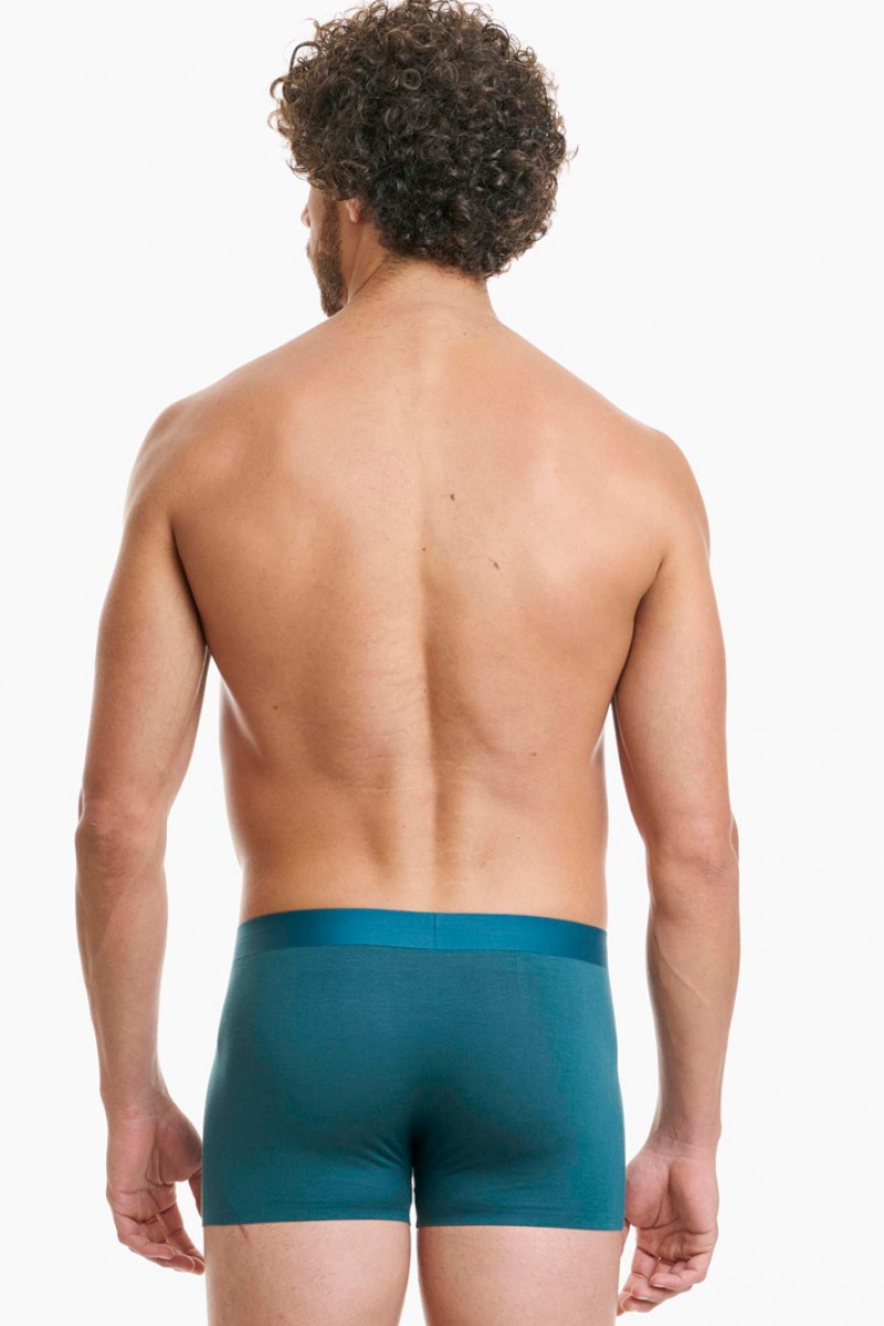 BOXER SEAMLESS BAMBOO WALK W1771_87 PETROL