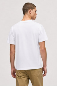 Cotton4all RELAXED Men's T-Shirt 26-401