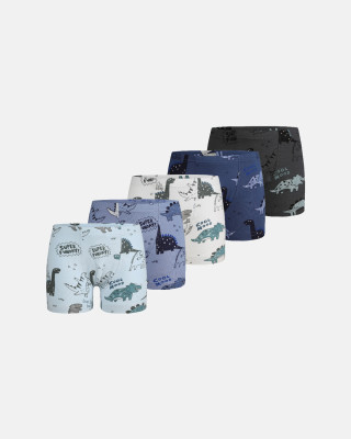 Donella Jungen-Baumwollboxershorts mit Dinosauriermotiven, 5er-Pack 75767