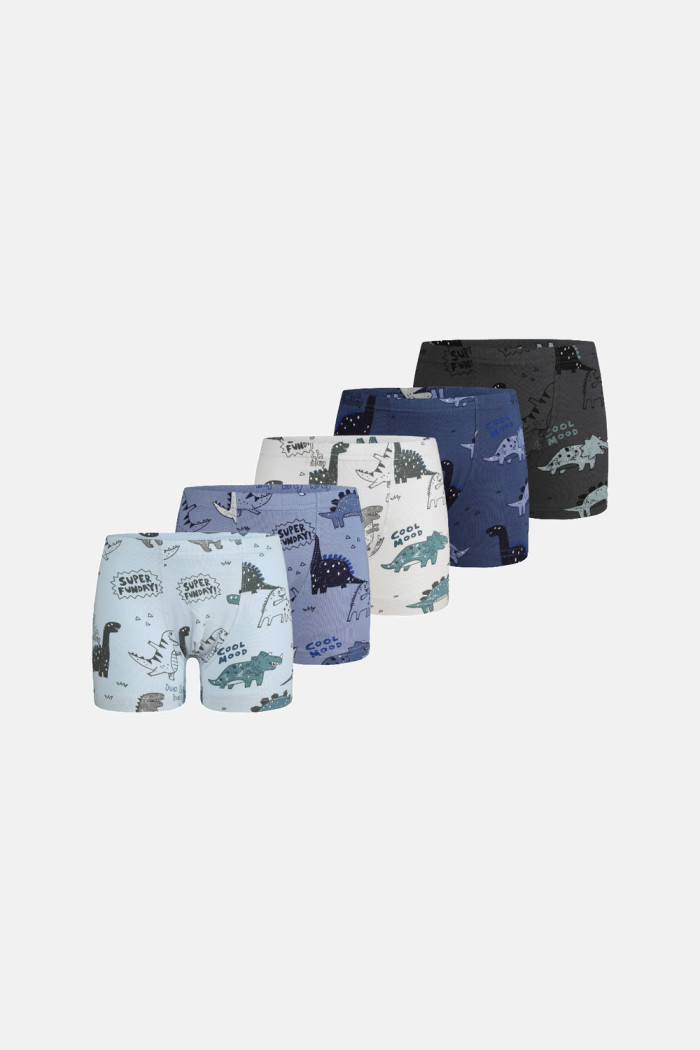 Donella Jungen-Baumwollboxershorts mit Dinosauriermotiven, 5er-Pack 75767