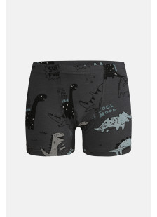 Donella Jungen-Baumwollboxershorts mit Dinosauriermotiven, 5er-Pack 75767