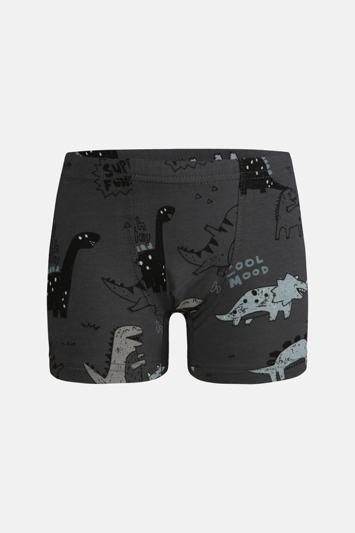 Donella Jungen-Baumwollboxershorts mit Dinosauriermotiven, 5er-Pack 75767