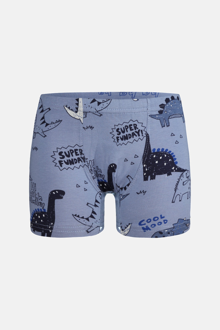 Donella Jungen-Baumwollboxershorts mit Dinosauriermotiven, 5er-Pack 75767