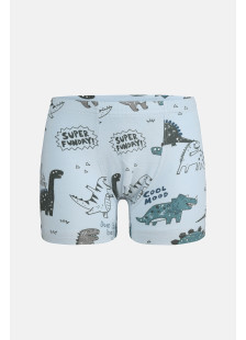 Donella Jungen-Baumwollboxershorts mit Dinosauriermotiven, 5er-Pack 75767