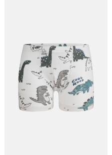 Donella Jungen-Baumwollboxershorts mit Dinosauriermotiven, 5er-Pack 75767