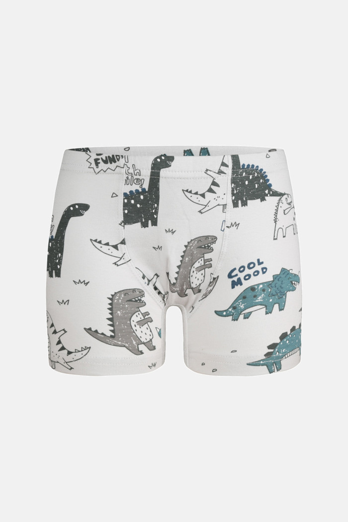 Donella Jungen-Baumwollboxershorts mit Dinosauriermotiven, 5er-Pack 75767