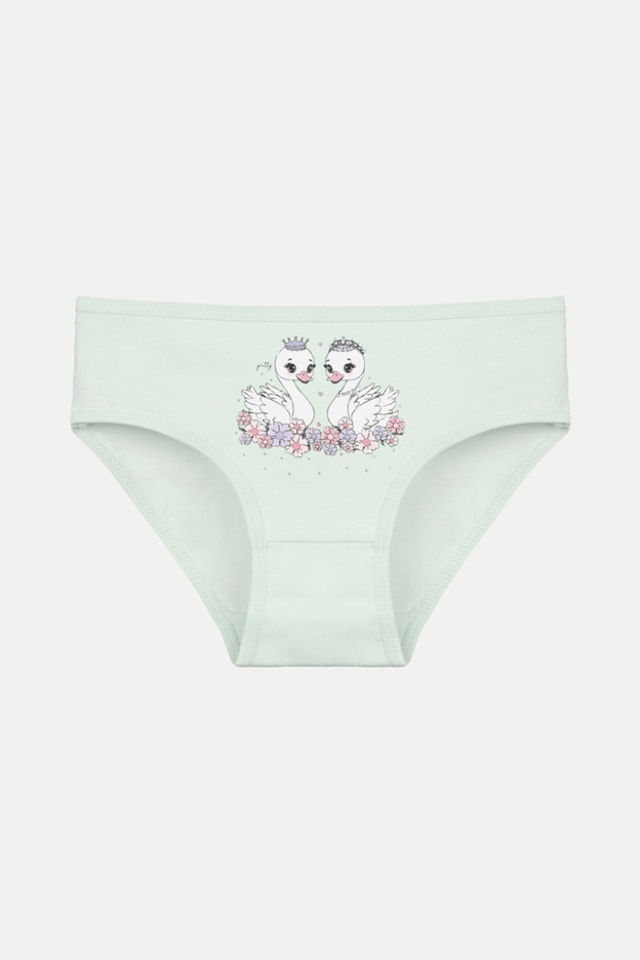 Donella girls' briefs 5-pack 4171PB102