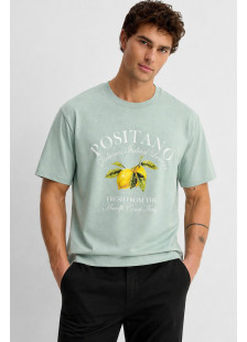 TRX men's mint cotton T-shirt with Positano print