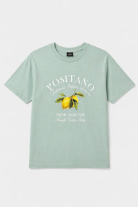 TRX men's mint cotton T-shirt with Positano print