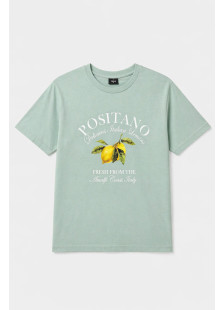 TRX men's mint cotton T-shirt with Positano print