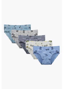 Donella boys' briefs 5-pack in assorted colours