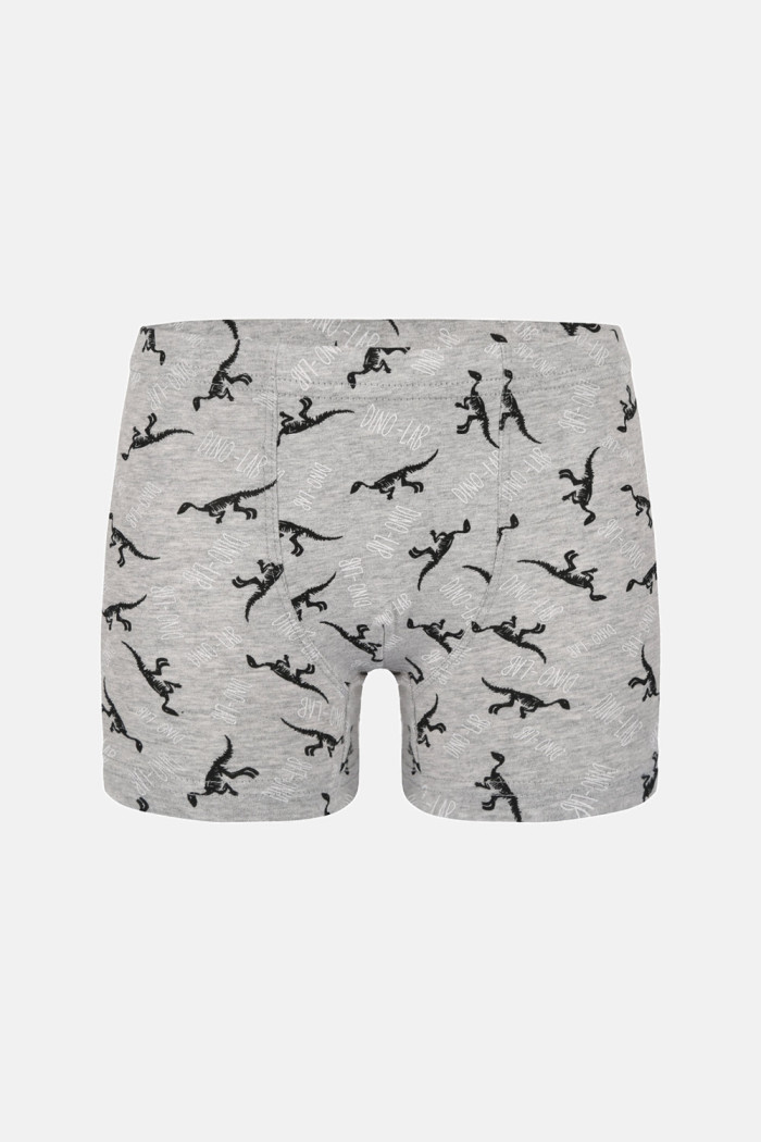 Donella Jungen-Baumwollboxershorts, 5er-Pack 758130