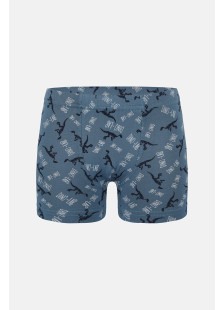 Donella Jungen-Baumwollboxershorts, 5er-Pack 758130