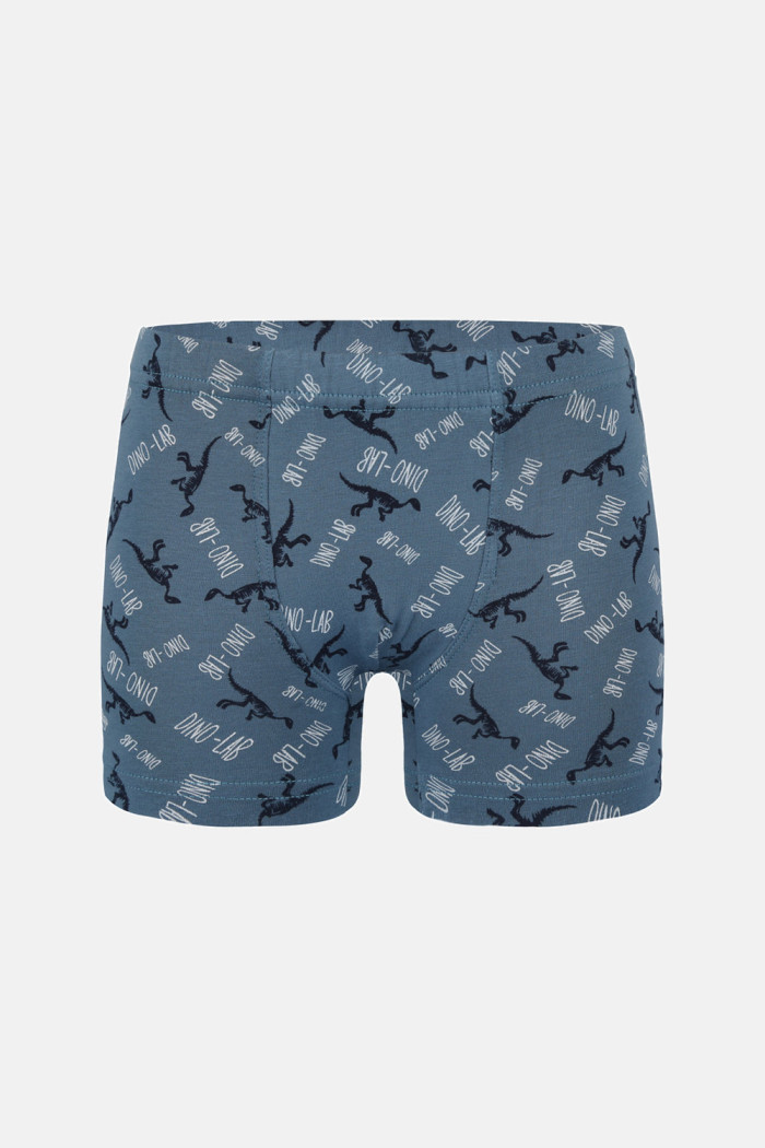 Donella Jungen-Baumwollboxershorts, 5er-Pack 758130