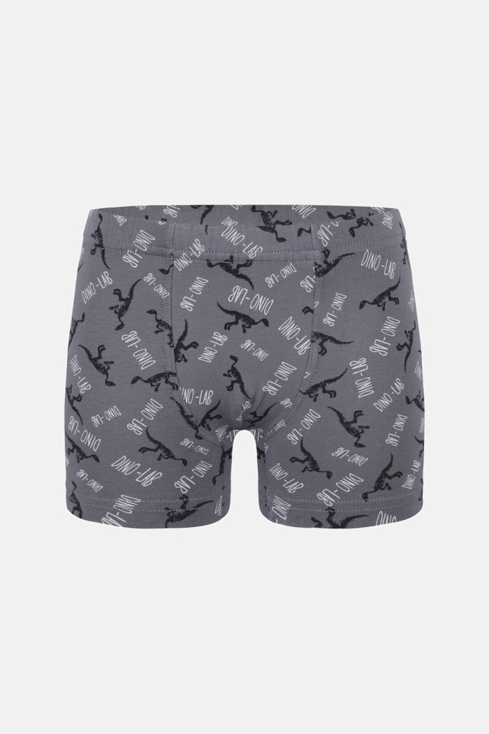 Donella Jungen-Baumwollboxershorts, 5er-Pack 758130