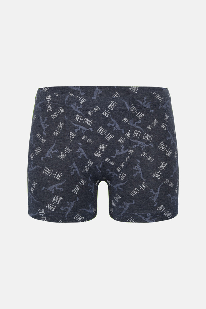 Donella Jungen-Baumwollboxershorts, 5er-Pack 758130