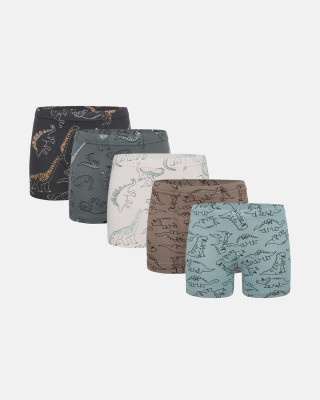 Donella Jungen-Baumwollboxershorts, 5er-Pack 758135