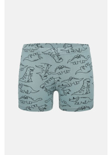 Donella Jungen-Baumwollboxershorts, 5er-Pack 758135