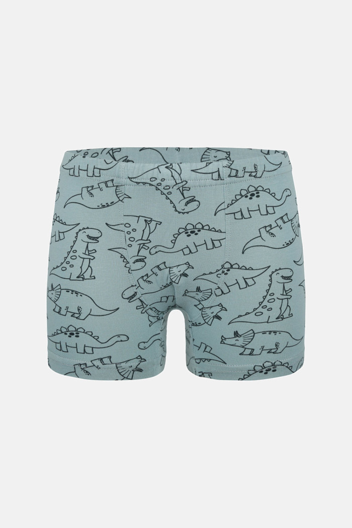 Donella Jungen-Baumwollboxershorts, 5er-Pack 758135