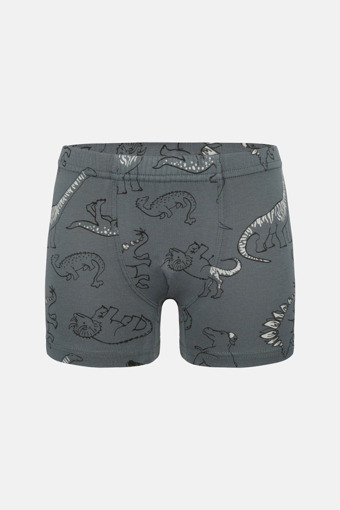 Donella Jungen-Baumwollboxershorts, 5er-Pack 758135