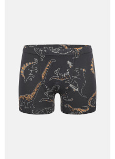 Donella Jungen-Baumwollboxershorts, 5er-Pack 758135