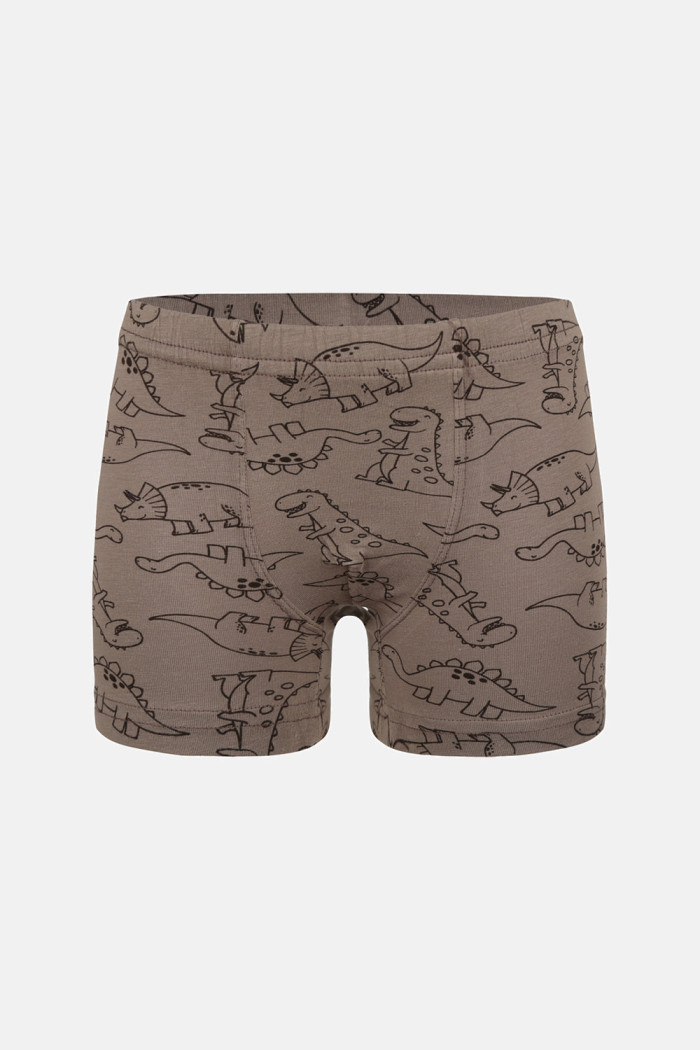 Donella Jungen-Baumwollboxershorts, 5er-Pack 758135