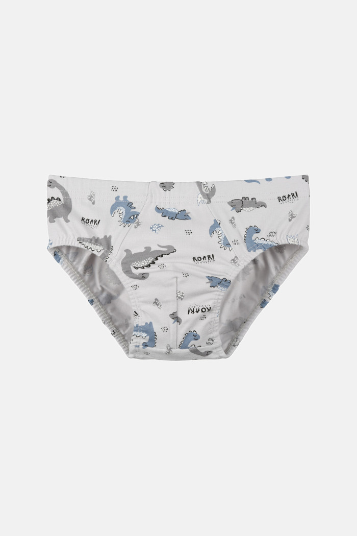 Donella 768126 Jungen-Slips, 5er-Pack