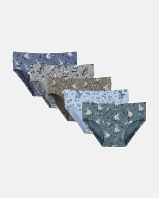 Donella 768131 Jungen-Slips, 5er-Pack