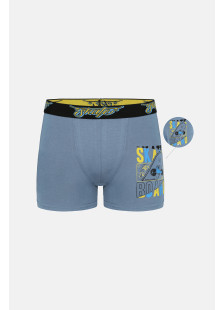Donella Jungen-Boxershorts aus Baumwolle, 5er-Pack 8371PB26