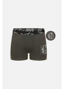Donella Jungen-Boxershorts aus Baumwolle, 5-Stück-Packung 8371PB38