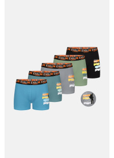Donella Jungen-Boxershorts aus Baumwolle, 5er-Pack 8371PB41