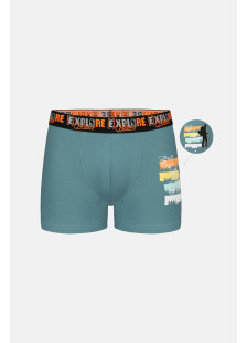 Donella Jungen-Boxershorts aus Baumwolle, 5er-Pack 8371PB41