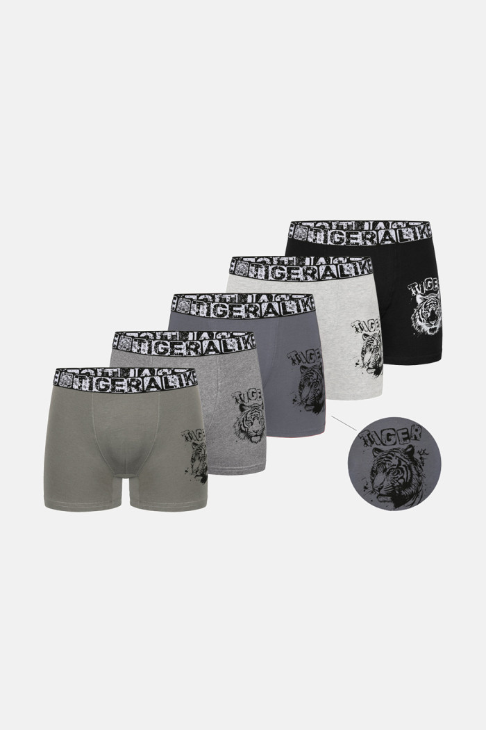 Donella Jungen-Boxershorts mit Tigerprint, 5er-Pack 8371PB47