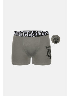 Donella Jungen-Boxershorts mit Tigerprint, 5er-Pack 8371PB47
