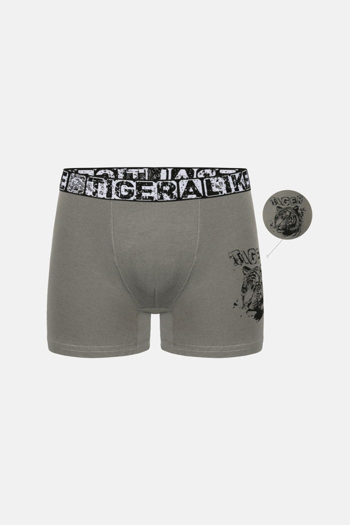 Donella Jungen-Boxershorts mit Tigerprint, 5er-Pack 8371PB47