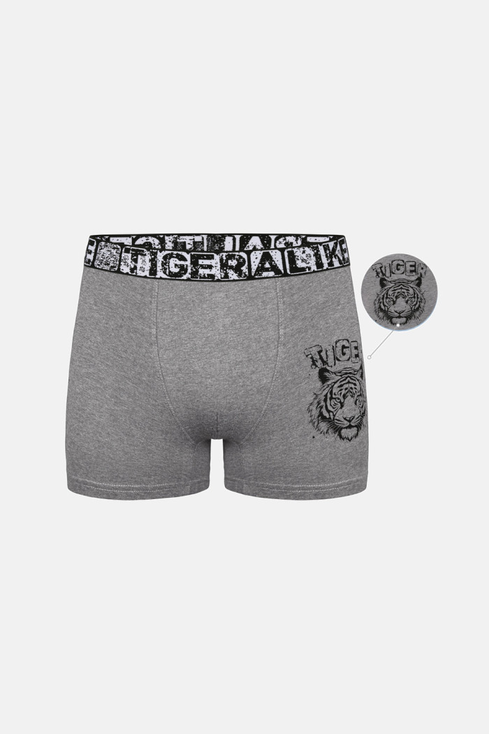 Donella Jungen-Boxershorts mit Tigerprint, 5er-Pack 8371PB47