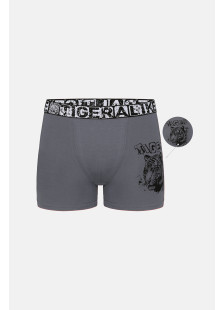 Donella Jungen-Boxershorts mit Tigerprint, 5er-Pack 8371PB47