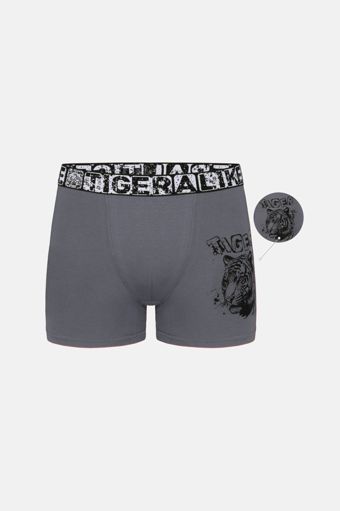 Donella Jungen-Boxershorts mit Tigerprint, 5er-Pack 8371PB47