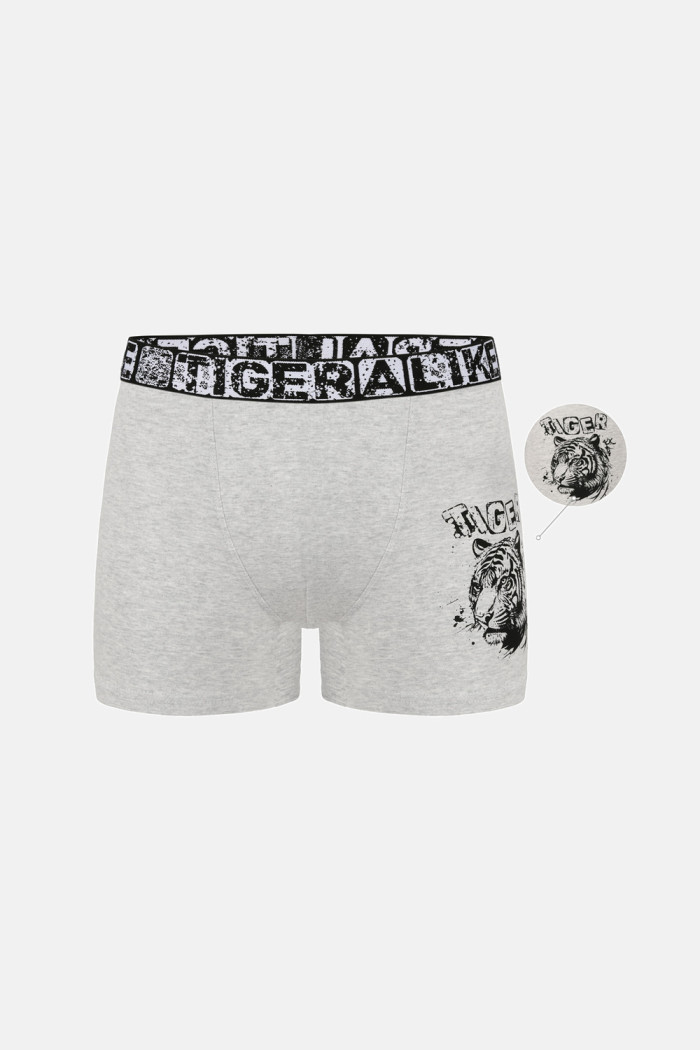 Donella Jungen-Boxershorts mit Tigerprint, 5er-Pack 8371PB47
