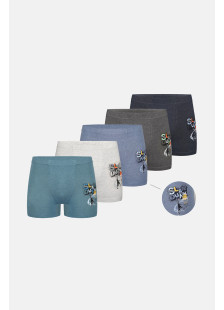Donella Jungen-Boxershorts aus Baumwolle, 5-Stück-Packung 8524B4