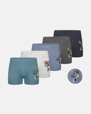 Donella Jungen-Boxershorts aus Baumwolle, 5-Stück-Packung 8524B4