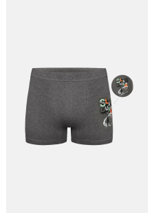 Donella Jungen-Boxershorts aus Baumwolle, 5-Stück-Packung 8524B4