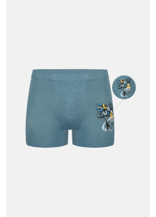 Donella Jungen-Boxershorts aus Baumwolle, 5-Stück-Packung 8524B4