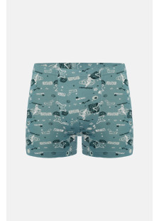 Donella Jugend-Boxershorts für Jungen aus Baumwolle, 5er-Pack 858124