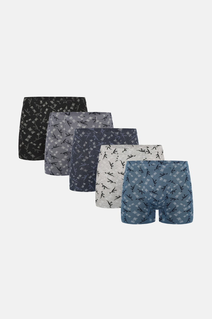 Donella Jungen-Boxershorts aus Baumwolle, 5er-Pack 858130