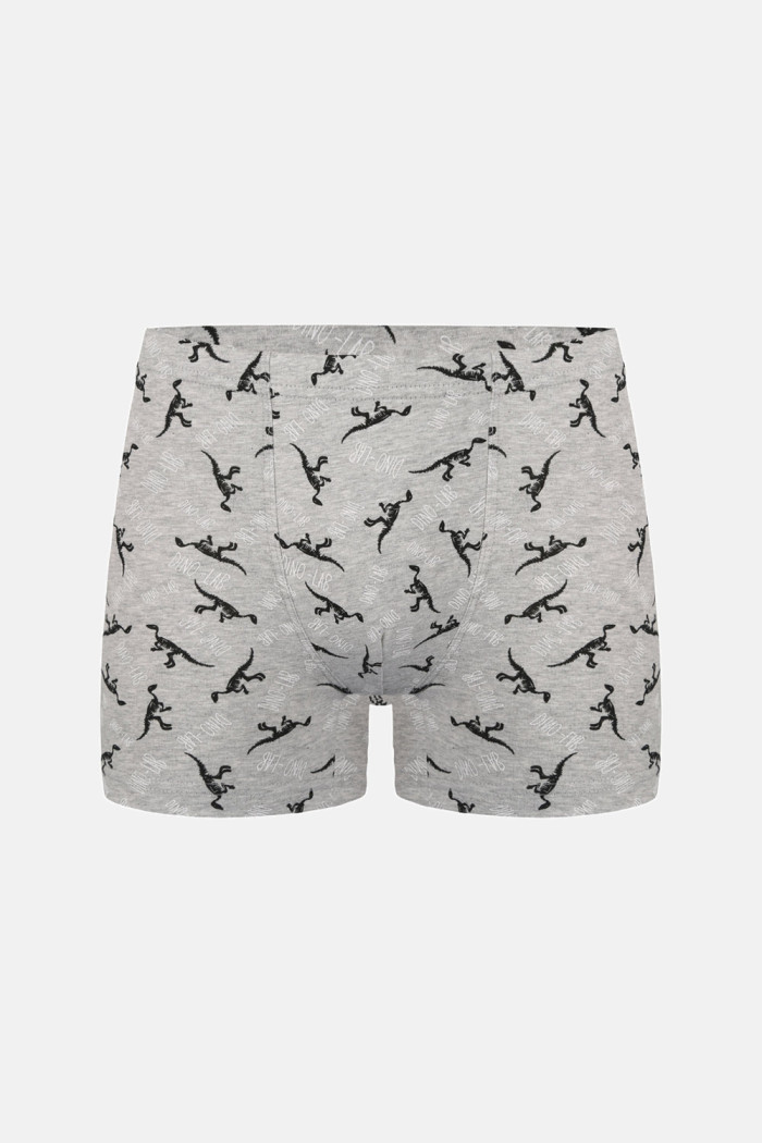 Donella Jungen-Boxershorts aus Baumwolle, 5er-Pack 858130