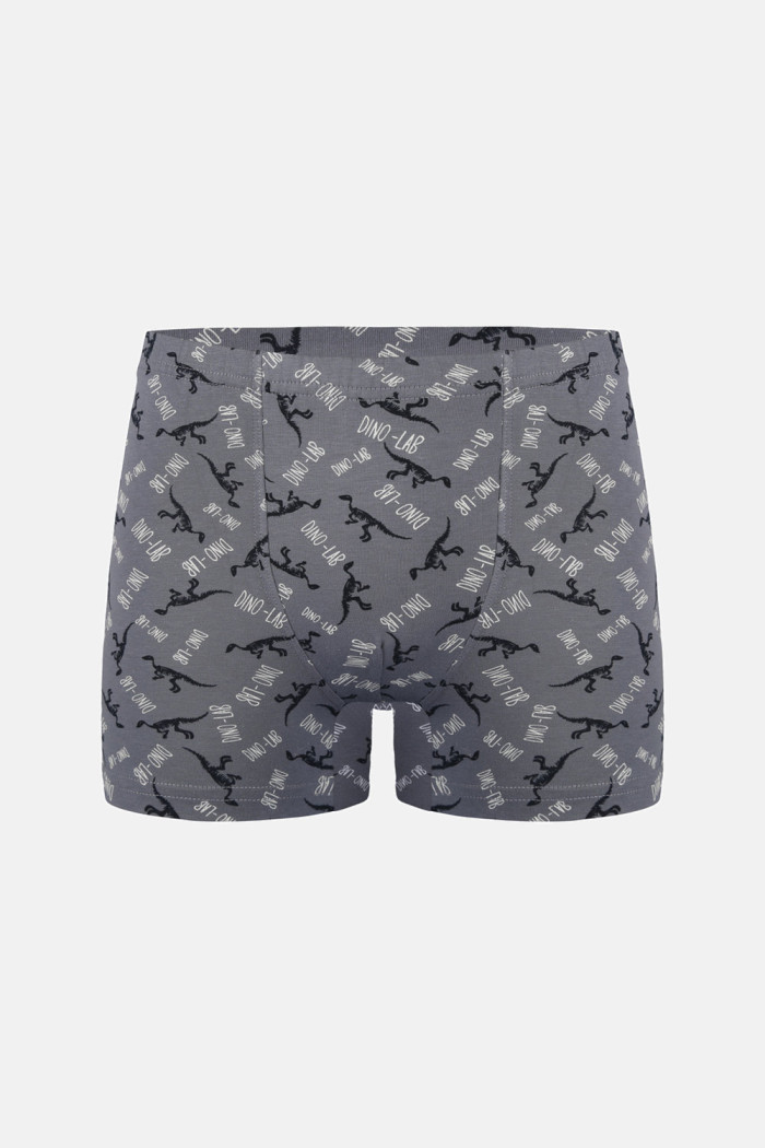 Donella Jungen-Boxershorts aus Baumwolle, 5er-Pack 858130