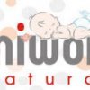 MiniWorld